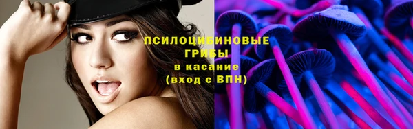 твердый Алексеевка