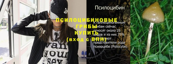 твердый Алексеевка